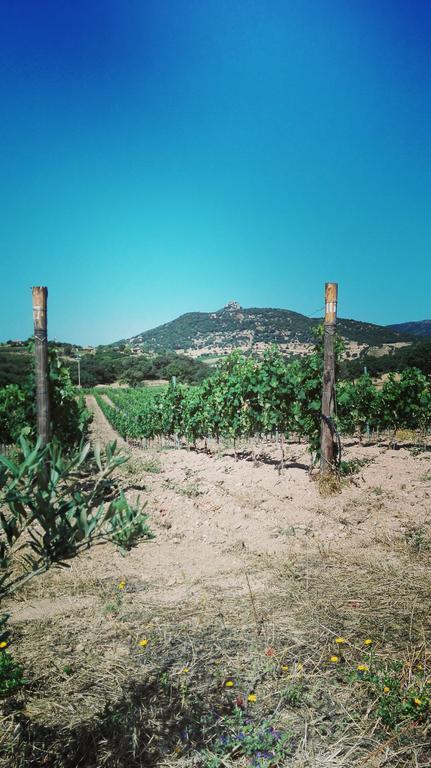 Agriturismo B&B Domo De Resteblas 贝尔基达 外观 照片