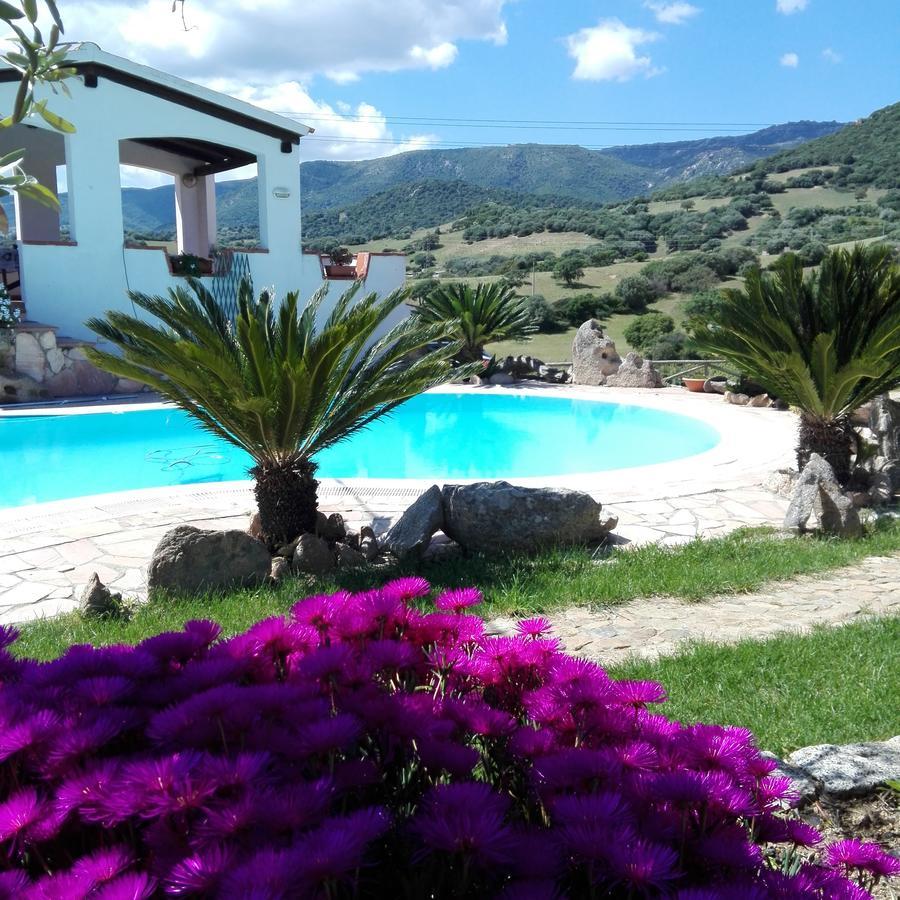 Agriturismo B&B Domo De Resteblas 贝尔基达 外观 照片