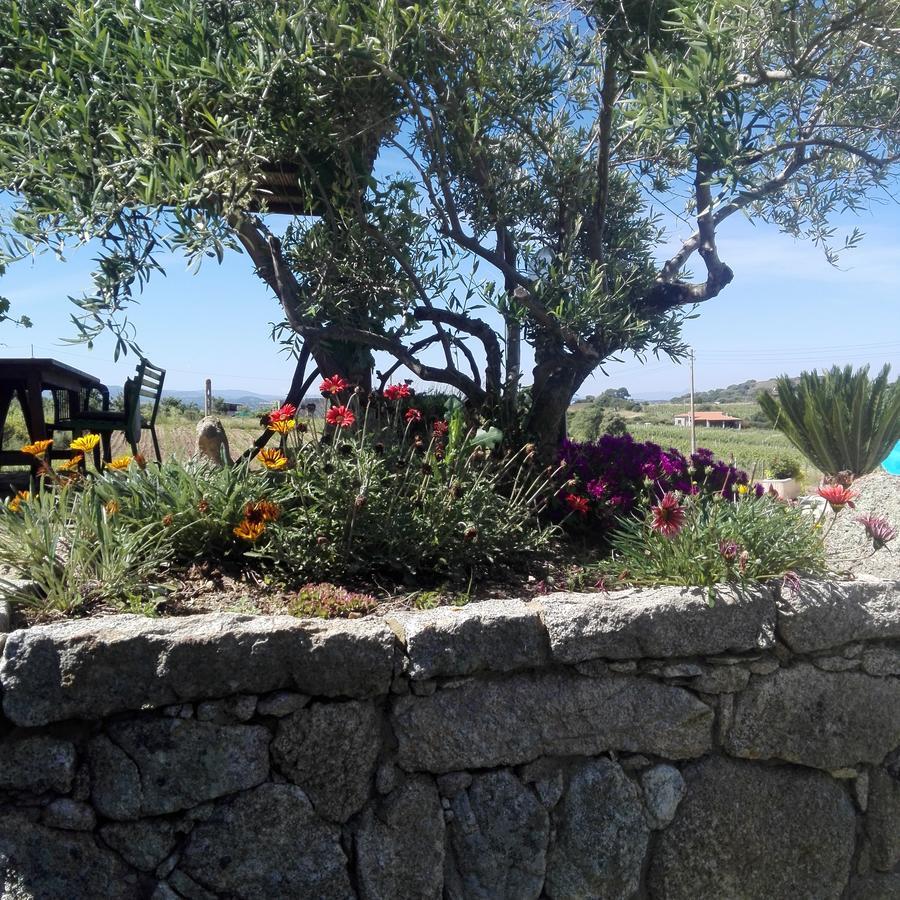 Agriturismo B&B Domo De Resteblas 贝尔基达 外观 照片