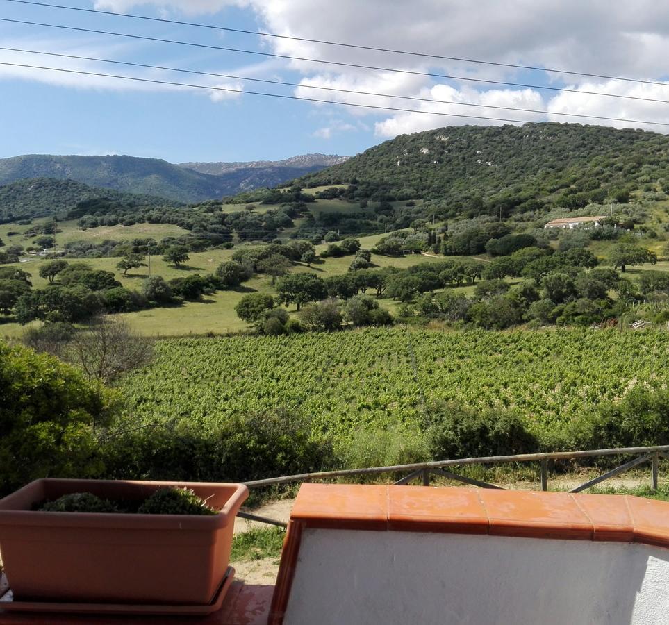 Agriturismo B&B Domo De Resteblas 贝尔基达 外观 照片
