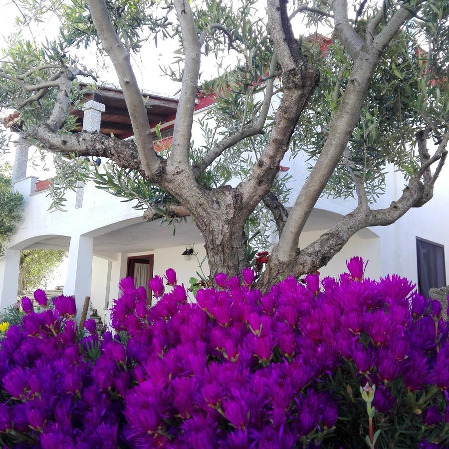 Agriturismo B&B Domo De Resteblas 贝尔基达 外观 照片
