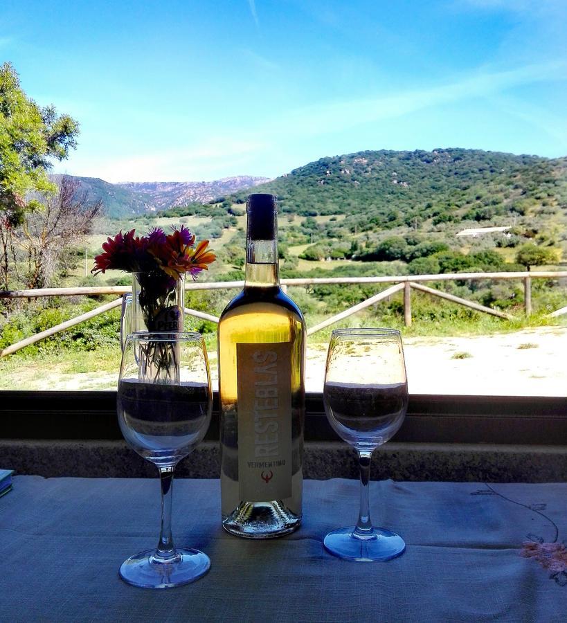 Agriturismo B&B Domo De Resteblas 贝尔基达 外观 照片