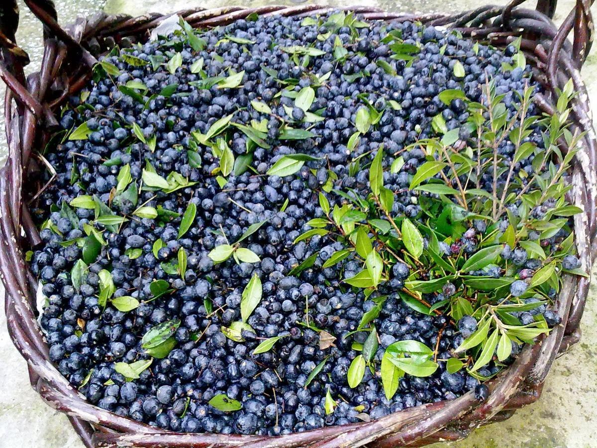 Agriturismo B&B Domo De Resteblas 贝尔基达 外观 照片